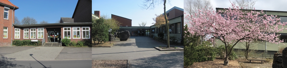 Ansichten der beiden Schulgebäude und der japanischen Kirsche