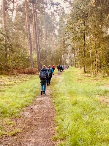 Schüler*innen der neuen fünften Klassen wandern durch den Wald