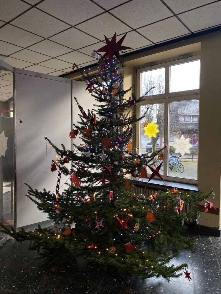 Weihnachtsbaum im Südfeld 2