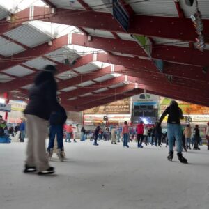 Die SchülerInnen der Oberschule in der Eishalle in Mellendorf