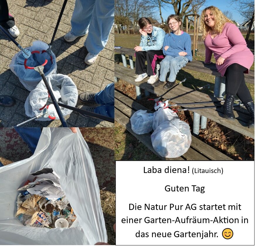 Collage zur Aufräum-Aktion der Natur Pur AG